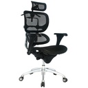 SILLA ERGOHUMAN MARCO NEGRO / BRAZOS GRADUABLE / BASE ALUMINIO / ASIENTO Y ESPALDAR EN MALLA NEGRA / CON CABECERO / PERCHERO